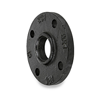 2141-cast-iron-flanges-125-reducing-companion-flange